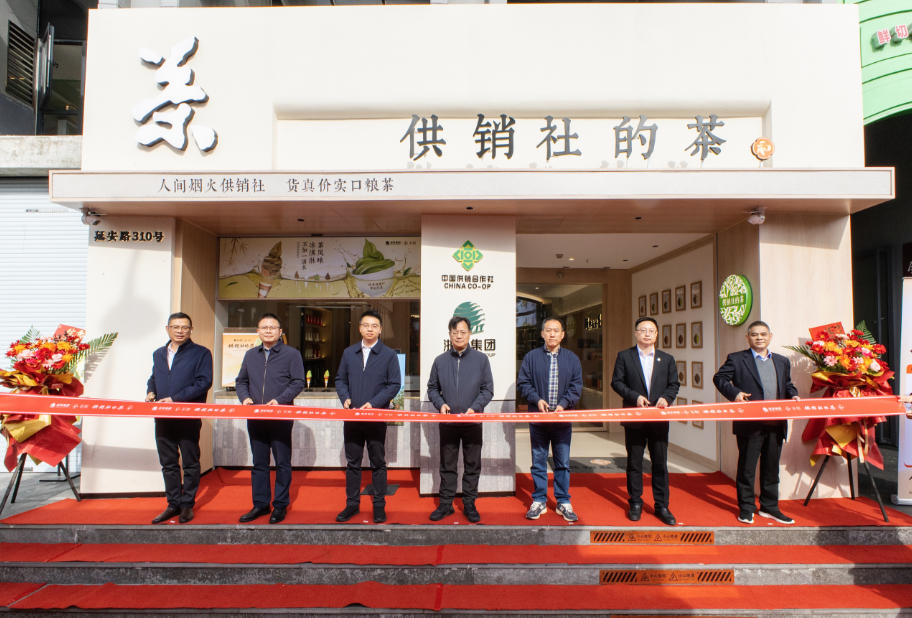 笃行实干践初心  凝心聚力谋发展——浙茶集团以全会精神赋能高质量发展新征程